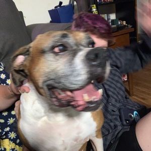 Meet your Posher, Alexis